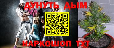 гидра Аша